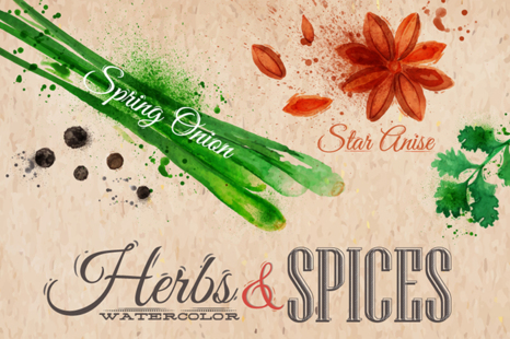 Herbs Spices Watercolor - Mint