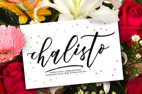 Chalisto Script - Fonts