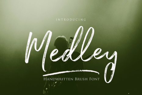 Medley Script - Handwritten script font