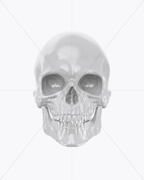 Skull Mockup - Front View