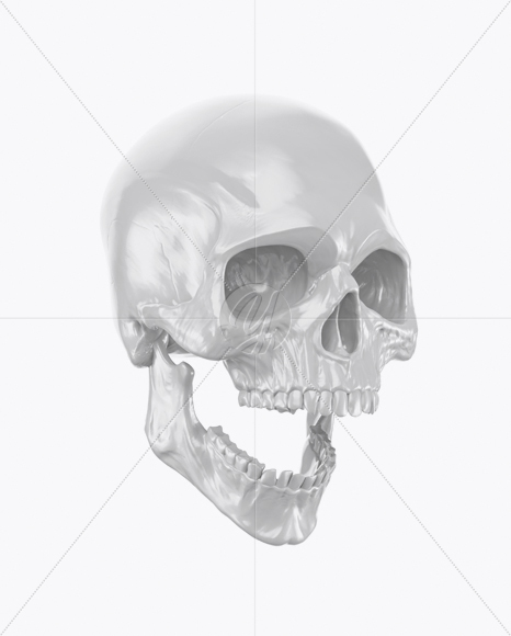 Skull Mockup - Half Side View