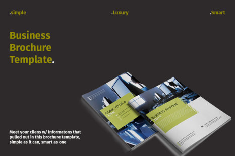 Business System Brochure - Awesome brochure