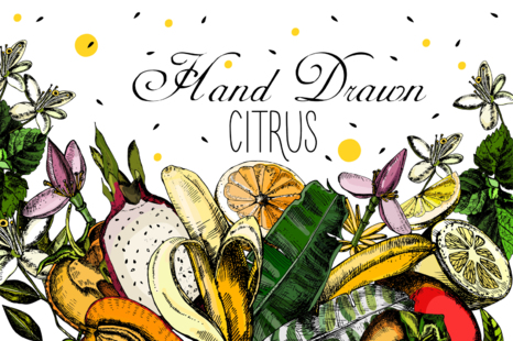 Hand drawing Citrus fruits - Mango