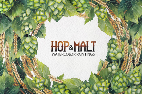 Watercolor hop and malt - Floral illustrations