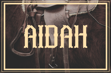 Aidah Typeface - Saloon