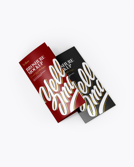 2xDL Brochures Mockup - Half Side View (High-Angle Shot) - Brochure mockup