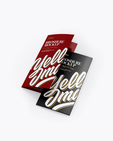 2xDL Brochures Mockup - Half Side View (High-Angle Shot) - Brochure mockup