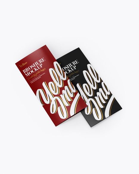 2xDL Brochures Mockup - Half Side View (High-Angle Shot) - Free