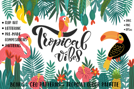 Tropical Clip Art, Lettering & Patterns Set - Tropical bird