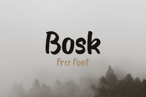 Bosk Brush Font - Dark font