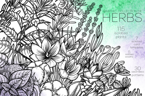 Graphic Herbs - Biology