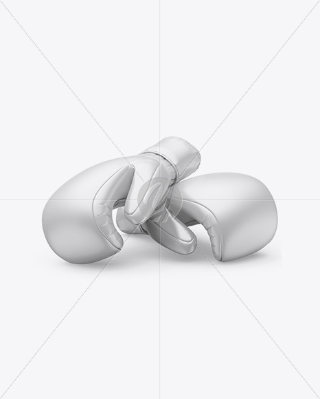 Two Boxing Gloves Mockup