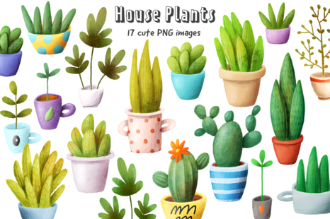 Set of house plants - House plant