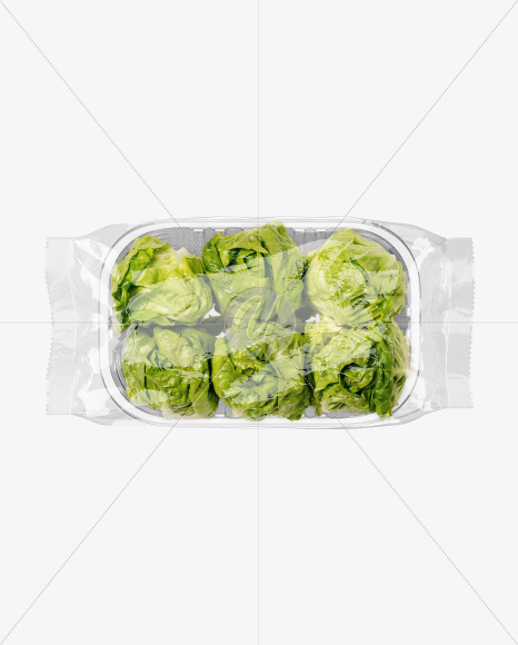 Salad Pack Mockup Salad Pack Mockup