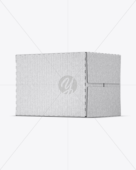 Kraft Paper Box Mockup