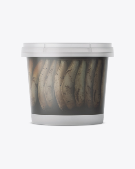 Frosted Plastic Container With Fish Mockup - Eye-Level Shot - Free