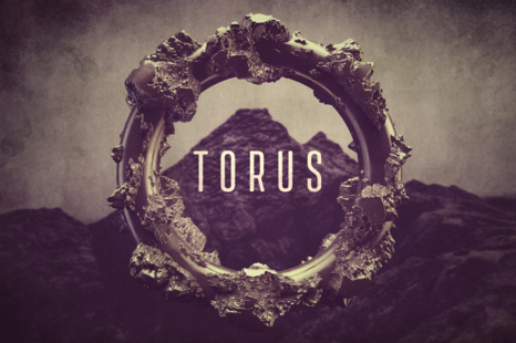 Torus Shapes - Organic shapes