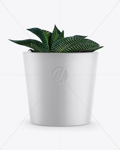 Ceramic Plant Pot Mockup