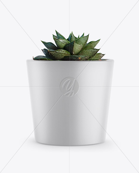 Ceramic Plant Pot Mockup