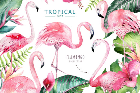 Tropical set II. Flamingo collection - Lilac