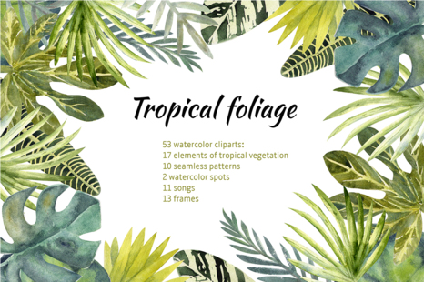 Tropical Leaves - Garden plants