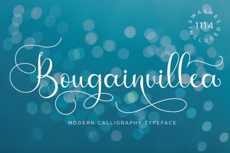 Bougainvillea Script - Casual script