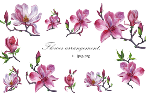 watercolor set Magnolia - Garden plants