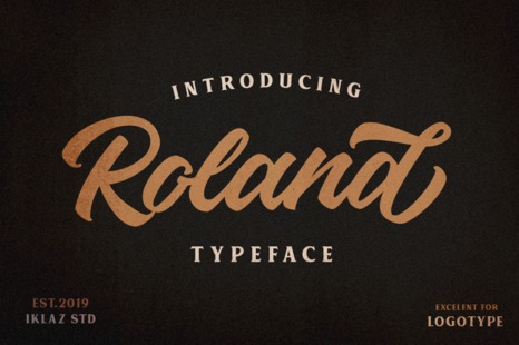 Roland Typeface - Fonts