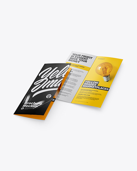 Two Glossy Brochures Mockup