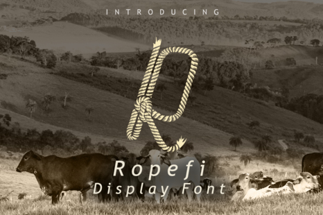 Ropefi Font - Ropes