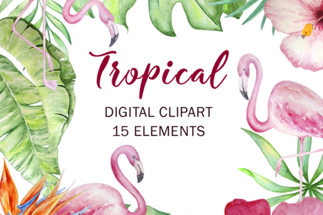 Tropical Watercolor Set Clipart - Tropical plants