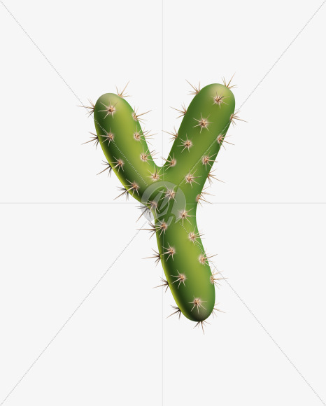 Letter Y from Texas Cactus Font on Yellow Images Creative Fonts - S26922