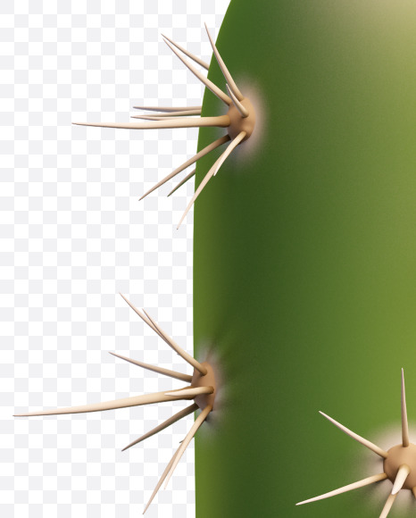 ! from Texas Cactus Font on Yellow Images Creative Fonts - S26934