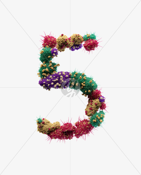 5