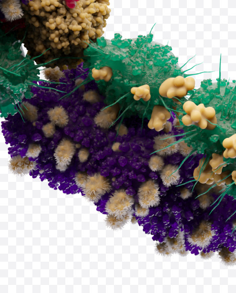 Letter C from Bacteria Font on Yellow Images Creative Fonts - S27201