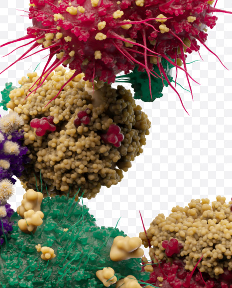 Letter Z from Bacteria Font on Yellow Images Creative Fonts - S27224