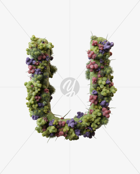 U