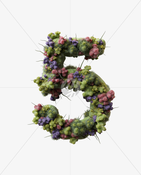5