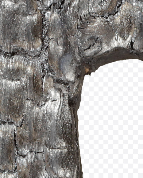 Letter R from Black Coal Font on Yellow Images Creative Fonts - S27748