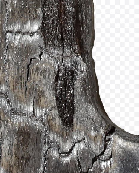 Letter U from Black Coal Font on Yellow Images Creative Fonts - S27751