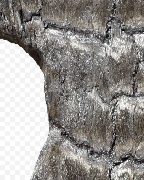 2 from Black Coal Font on Yellow Images Creative Fonts - S27758