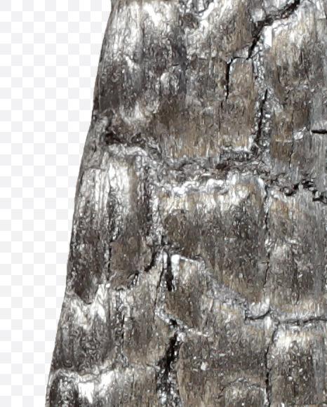 Letter W from Black Coal Font on Yellow Images Creative Fonts - S27753