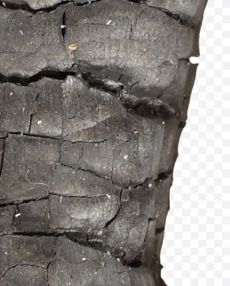 Letter A from Black Coal Font on Yellow Images Creative Fonts - S27731