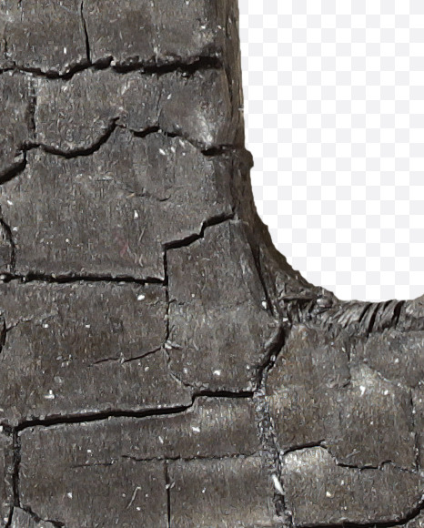 Letter D from Black Coal Font on Yellow Images Creative Fonts - S27734