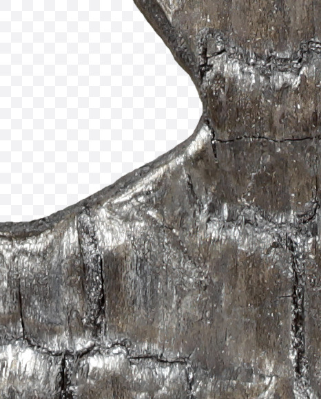 & from Black Coal Font on Yellow Images Creative Fonts - S27772