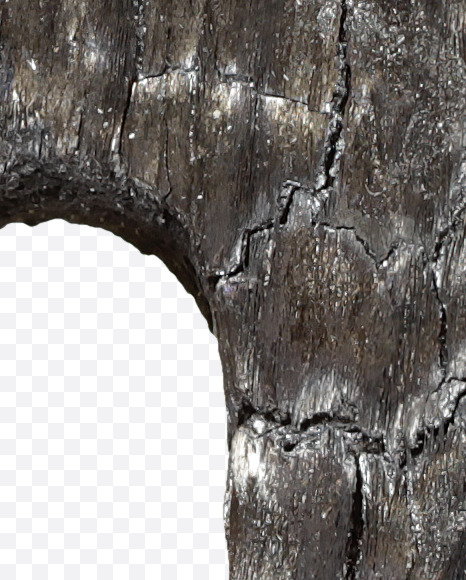 5 from Black Coal Font on Yellow Images Creative Fonts - S27761