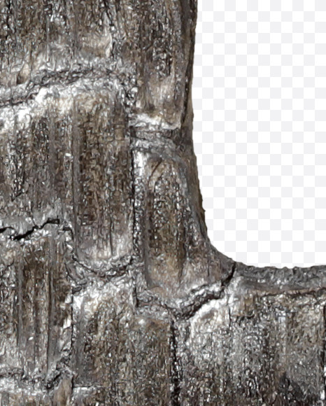 Letter P from Black Coal Font on Yellow Images Creative Fonts - S27746