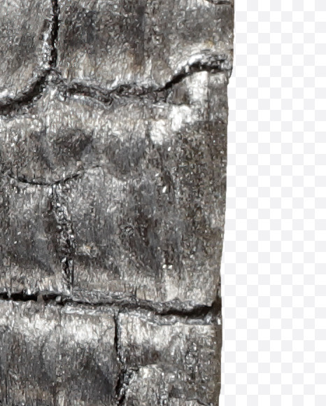 Letter H from Black Coal Font on Yellow Images Creative Fonts - S27738