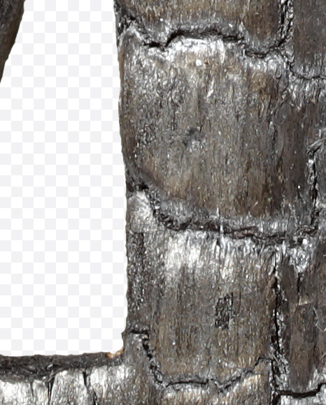 4 from Black Coal Font on Yellow Images Creative Fonts - S27760