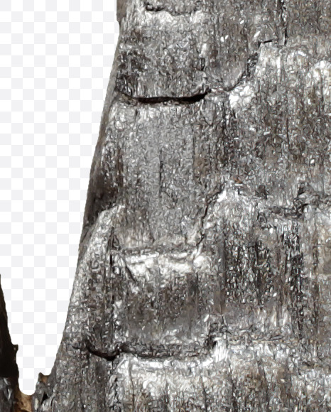 Letter V from Black Coal Font on Yellow Images Creative Fonts - S27752